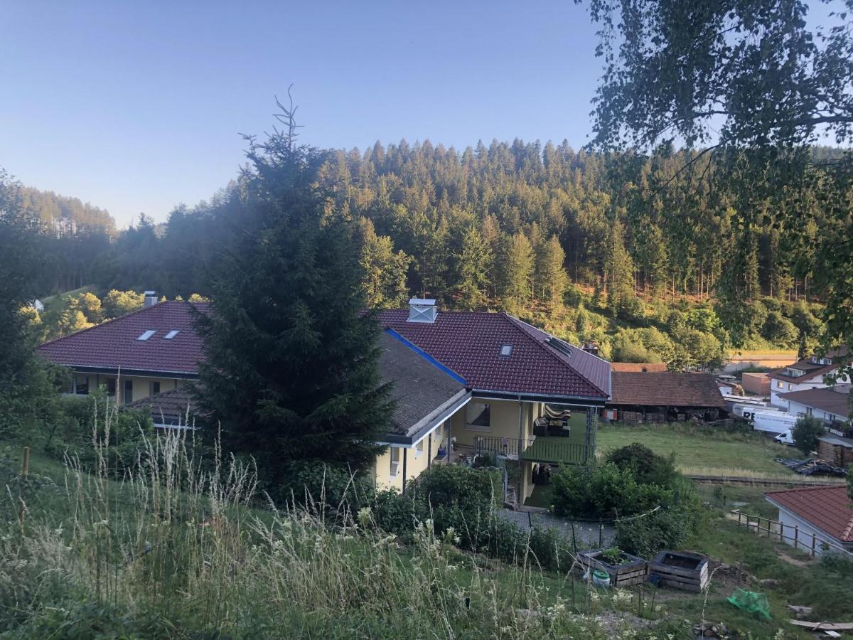Ferienhaus Lacher Baiersbronn Dış mekan fotoğraf